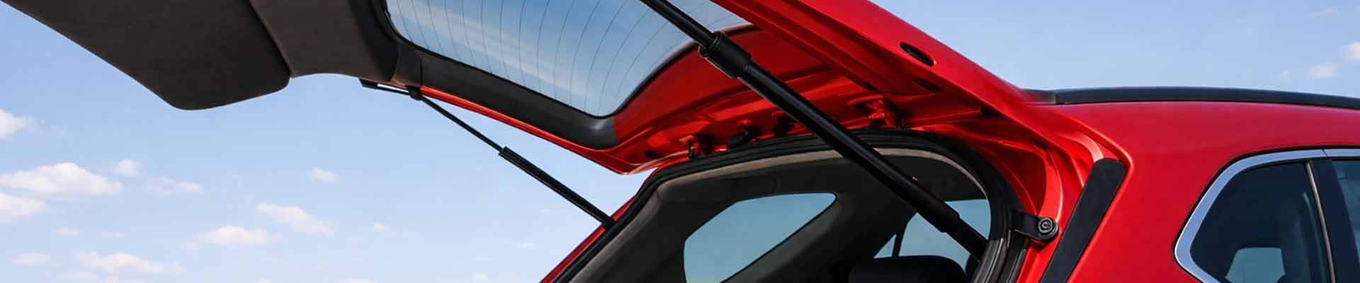 PNK Gas Spring Background